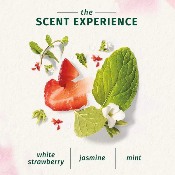 Herbal Essences White Strawberry & Sweet Mint Conditoner (400ml) - Image 5