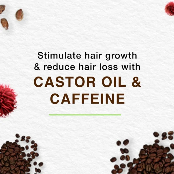 Himalaya Herbals Anti Hair Fall Castor & Caffeine Shampoo (375ml) - Image 3