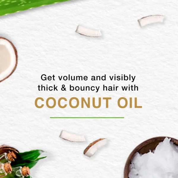 Himalaya Volume & Thickness Hair Cream with Coconut Oil (140ml) - Image 3