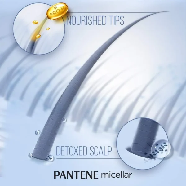 Pantene Micellar Detox & Purify Algae Extract Scalp Shampoo (530ml) - Image 3