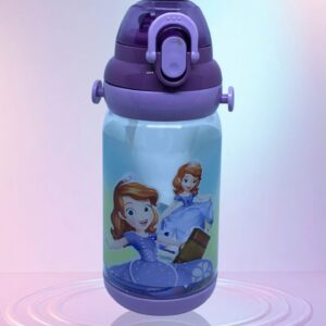 Sofia The First Character Chilled Water Bottle  550ML