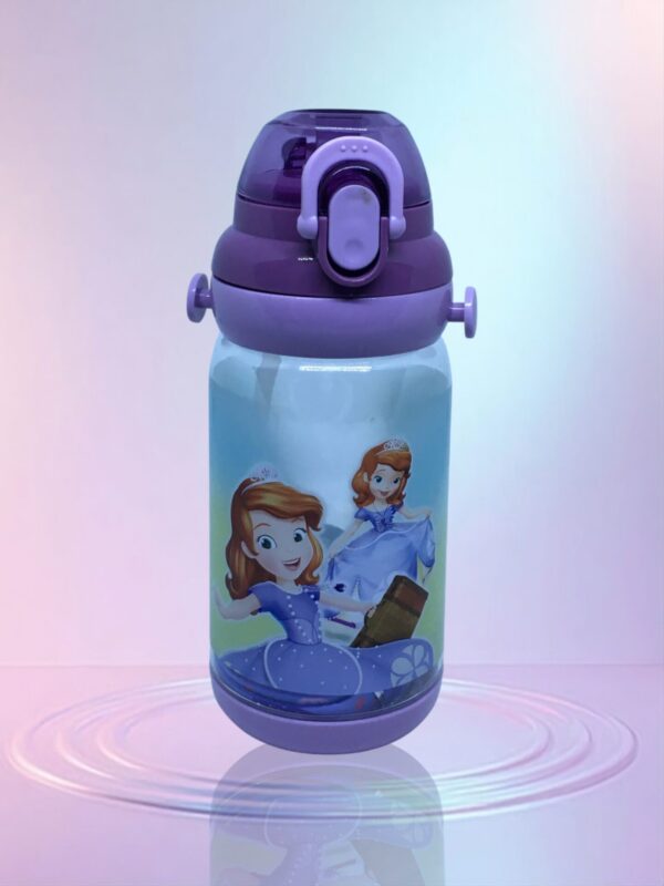 Sofia The First Character Chilled Water Bottle  550ML