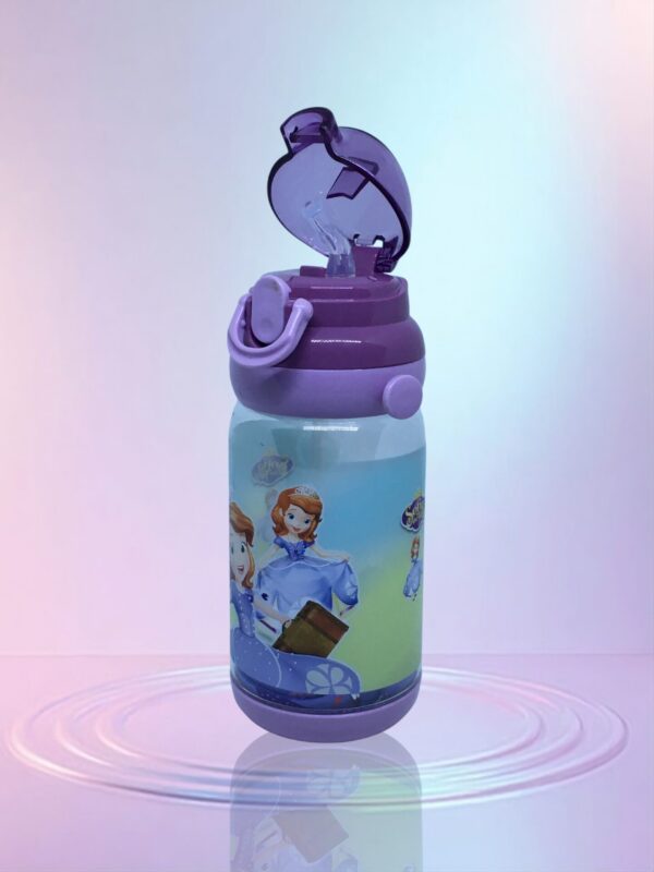 Sofia The First Character Chilled Water Bottle  550ML - Image 2