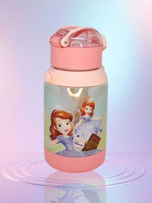 Chilled Water Bottle(Sofia The First) 600ML