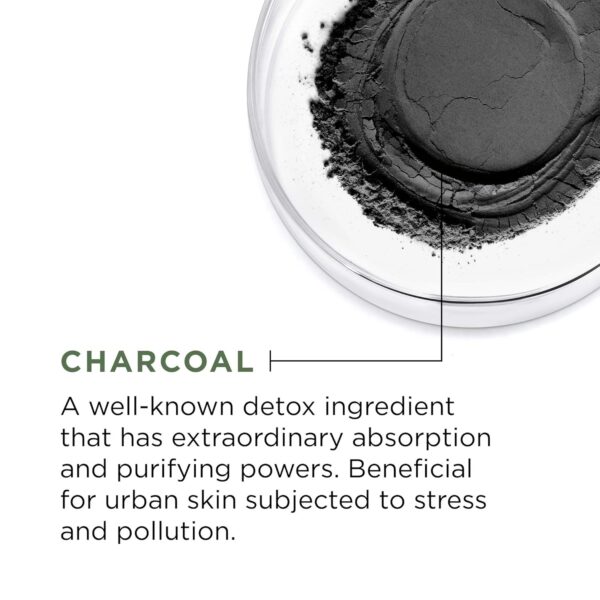 L'Oreal Paris Pure Clay Face Mask - (50ml) - Image 4